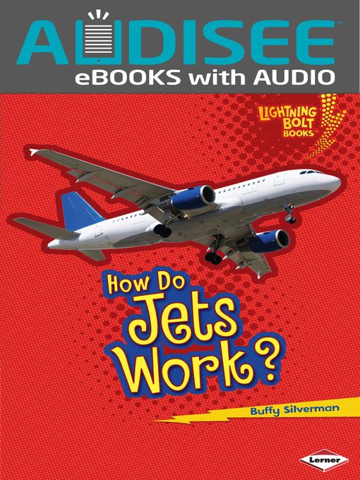Title details for How Do Jets Work? by Buffy Silverman - Wait list